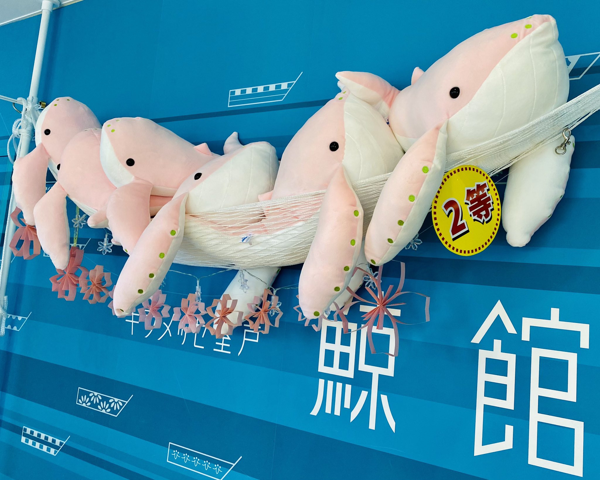キラメッセ室戸 鯨館【公式】 on X: キラメッセ室戸 鯨館【公式】 on X: