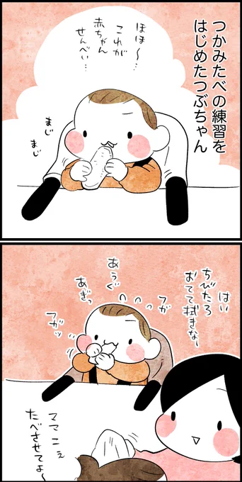 イリュージョンせんべい 