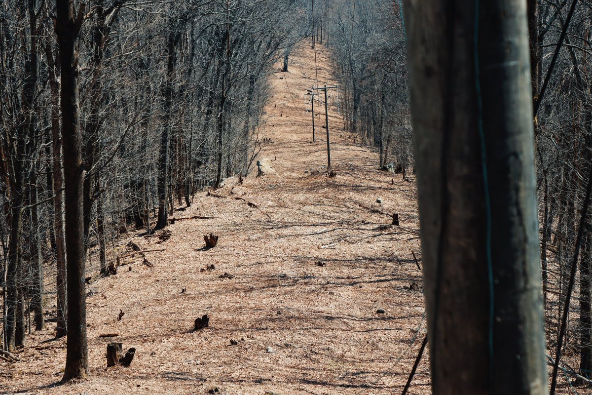inov_8's tweet photo. Barkley Marathons update (17hrs in):

@Ultra_Damo completed Loop 1 in lead group (approx 8hrs 17mins). 

@NickySpinks completed Loop 1 (approx 11hrs 35mins).

Both currently on Loop 2.

More here 👉 https://t.co/siMul5wztE

📷 @dav1dmiller 

#bm100 #barkleymarathons https://t.co/B7nVQOtkod