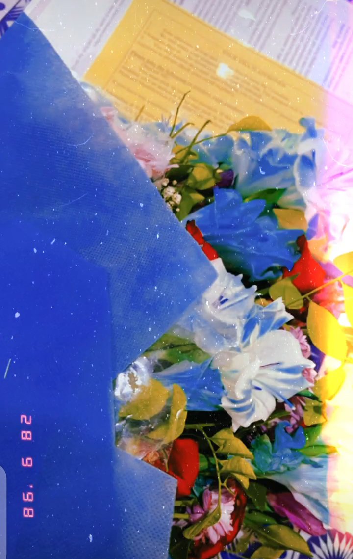 DeviMarvi's tweet image. Few months of hardcore focus and alignment can put you 5 years ahead in life. Don't underestimate the power of consistency and desire. You have what it takes  to become the best that you can be. 
Don't ever doubt yourself.
Exceed your expectations. 
Pic: 22dec2023 🌼💫