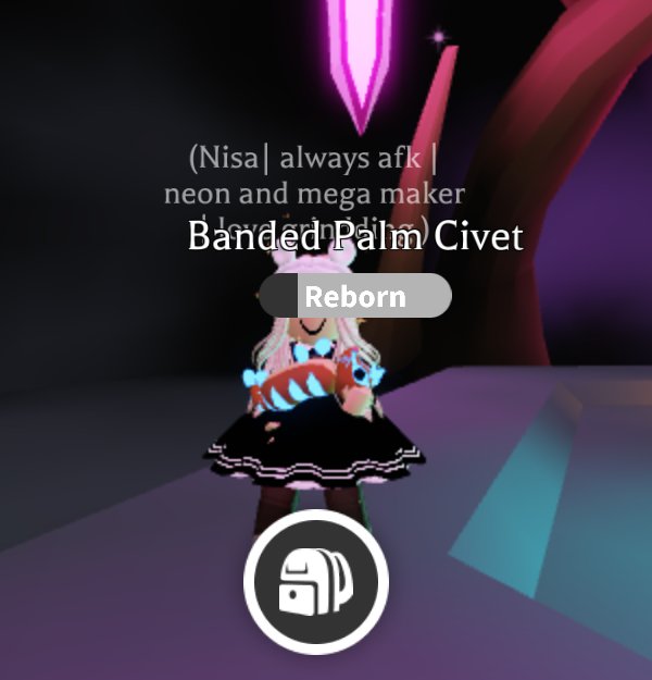 Making neon banded palm civet today 💙