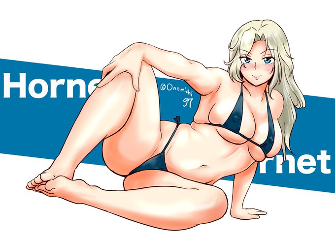 ホーネット再あげ 