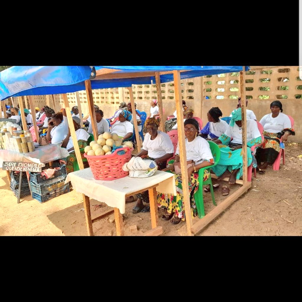 Marlydhalyna's tweet photo. Retour en images 14/03
Foire commerciale à Gueckedou, qui avait pour objectif la mise en relation directe de 100 acteurs commerciaux venus des communes de Gueckedou, de la Sierra Leone et du Libéria afin de favoriser le développement du commerce transfrontalier 
#ITC#MPTFCONJOINT https://t.co/M6bAIbp9Zx