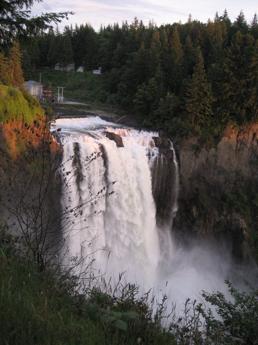 K. L. Schneider (the constitution is antifascist) tweet media