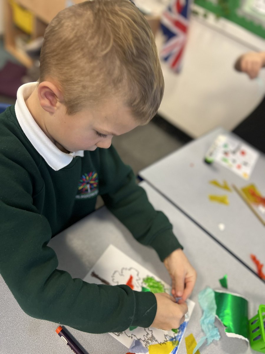 Meadowside Year 2 Fir tweet media