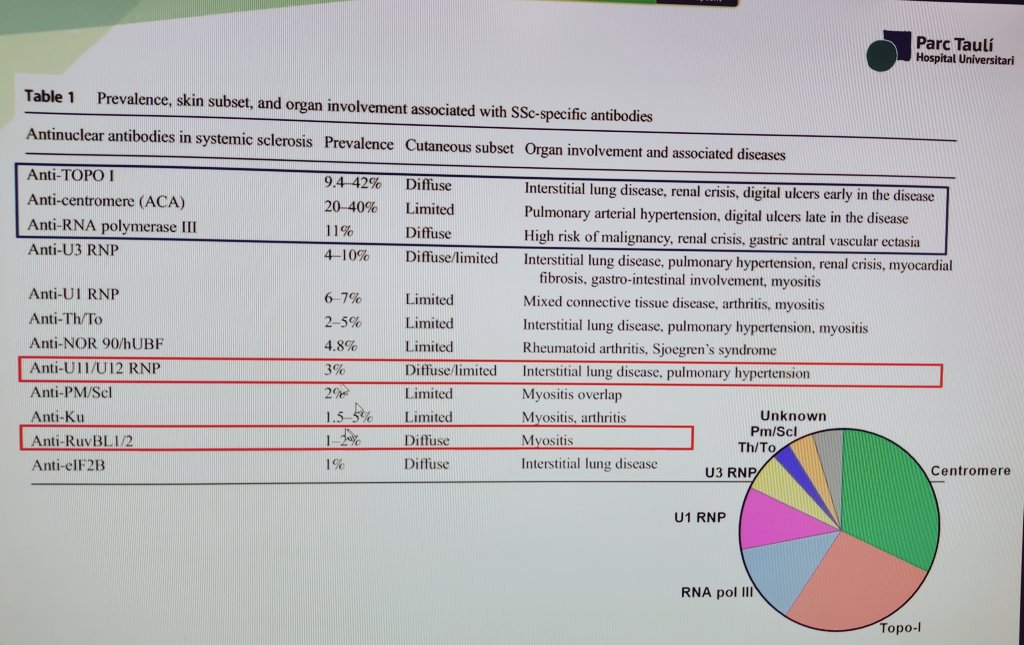 EsteveDoctor's tweet photo. Autoanticuerpos en #esclerodermia y #miositis. Presentación del Dr Baucells - Inmunologia clínica @parctauli
Dentro del calendario de sesiones de sistémicas en Medicina Interna. @cfeijoo5 https://t.co/SCaXSf6bIU