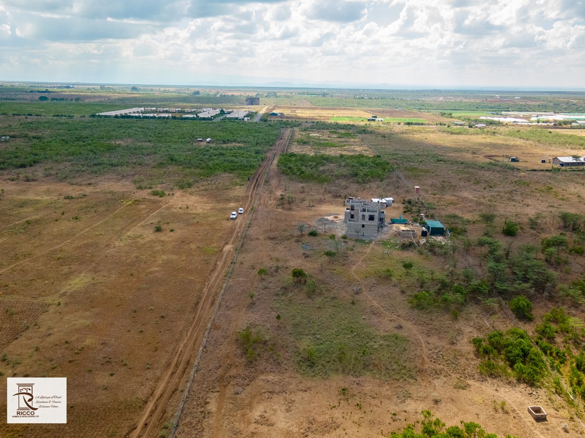 RiccoHomes's tweet photo. RUMURUTI #landforsale💰 with grafted avocado seedlings

Ideal for farming with Water source next to it
KES 399,000 per acre inclusive ;
✔️Drip irrigation system
✔️120 well hardened grafted hass avocado 🥑 seedlings
✔️Ready export ✈️ market

#riccohomes
#plots
#farmingland https://t.co/wiDwzkn8HR