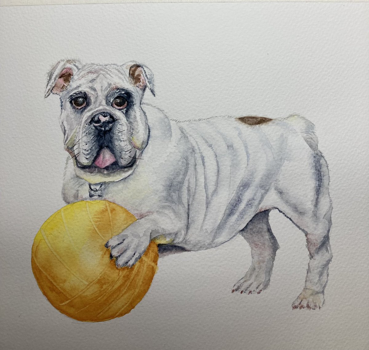 For no particular reason I painted a bulldog. And I kinda like him. 😍