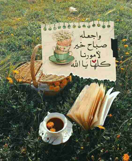 IPS_TEAM2011's tweet image. *صباح الخير.. الأمور المتروكة لله مضمونة، فسلِّم أمورك لله، سلِّم أمورك لرب الخير، وتأكد أنه في كل مرة سيُقدر لك الخير، ويحيطك بألطافه.. سلِّم أمورك لله فهو أحنّ عليك من نفسك ومن أبيك وأمك، ويُقدِّر كل شيء بوقته وطريقته، سلّمها لله واتركها تأتي كما يريدها ويُقدرها.❤️.*