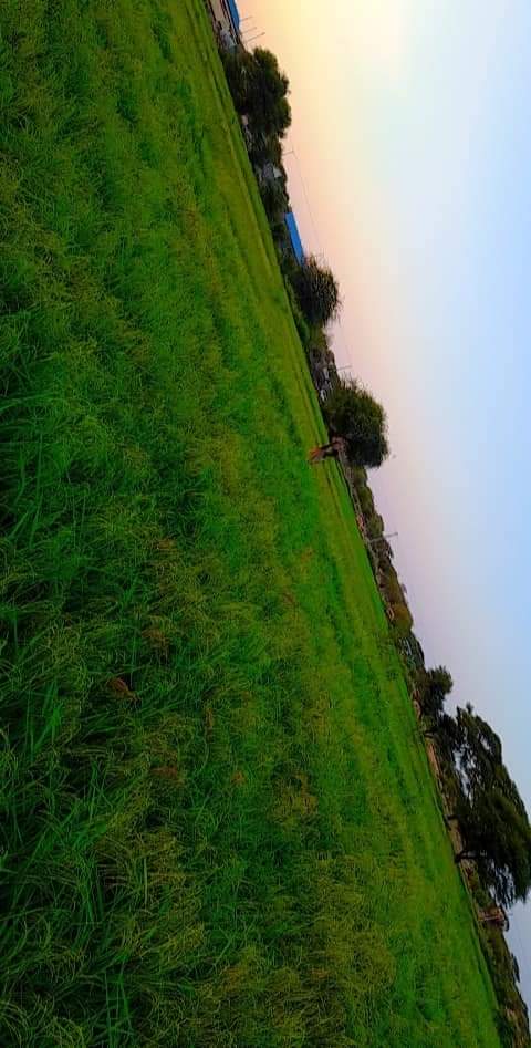 Noor Abdirashid 🇰🇪 tweet media