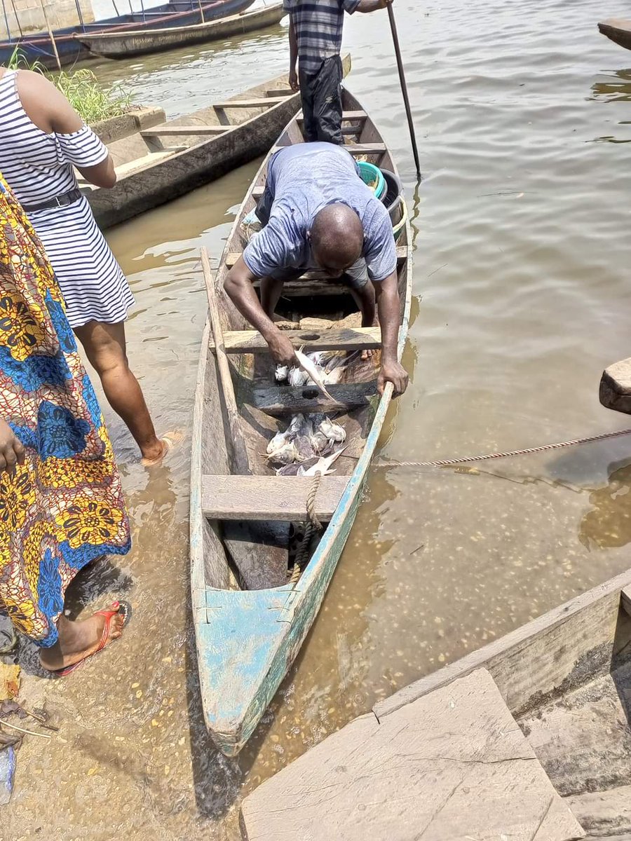 kuepouo's tweet photo. CREPD is instrumental in engaging fishermen community in #PlasticPolluion reduction in Cameroon. Discarded fishing nets contribute to plastic emissions into the Ocean from Wouri River #DoualaMetropolitan
@BRSConventions
@brsmeas
@GAIAnoburn
@Minepded1 https://t.co/ur533zTKno