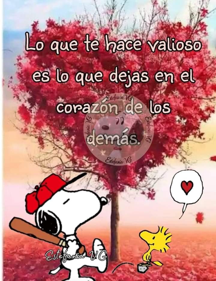 VidaEquilibrada (@vidaequilibrad4) on Twitter photo 