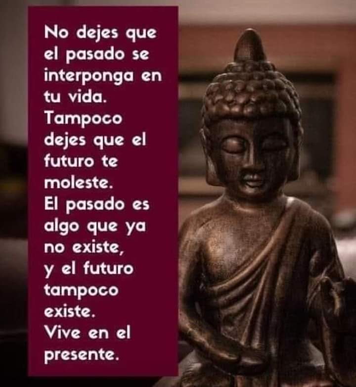 VidaEquilibrada (@vidaequilibrad4) on Twitter photo 