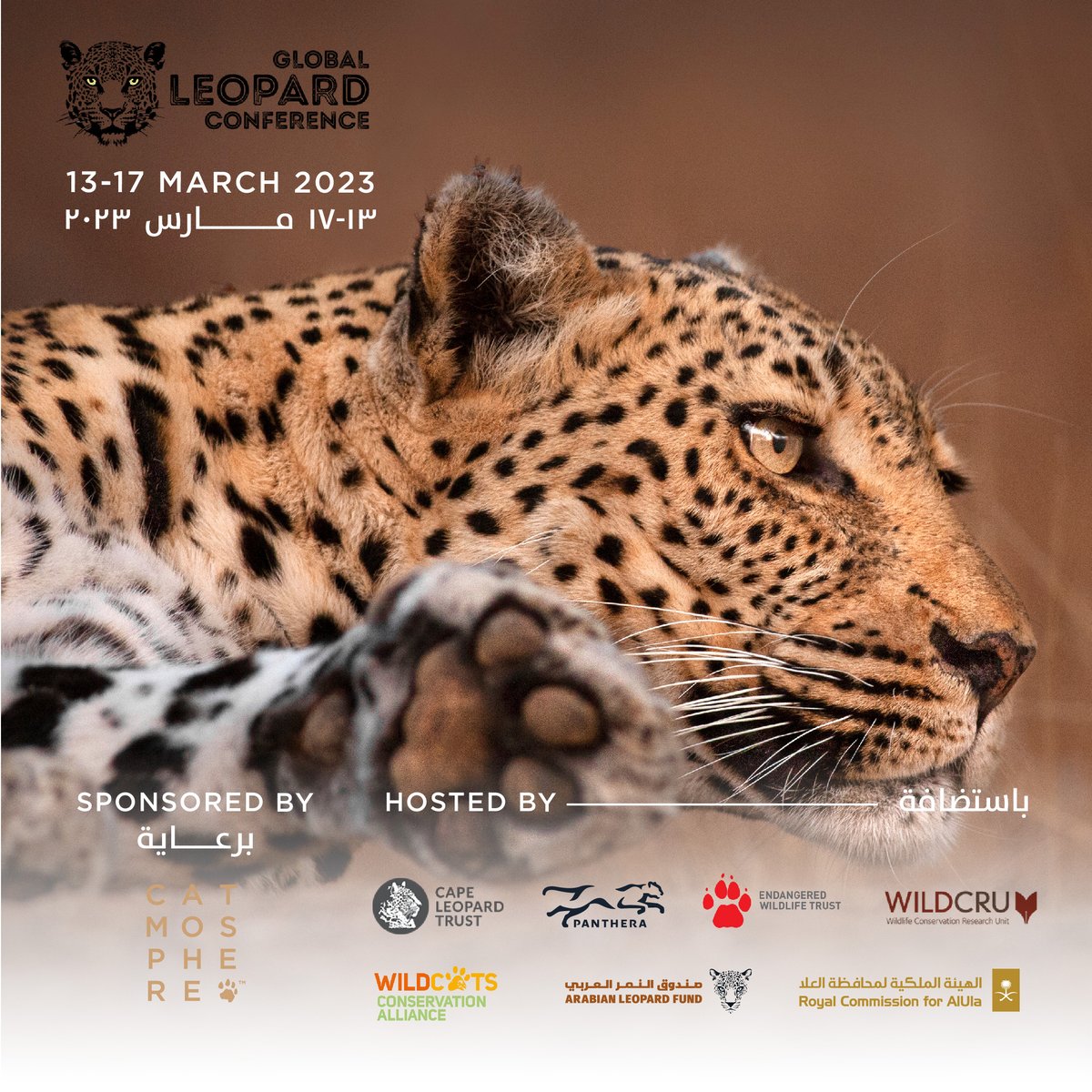 Catmosphere will present today at the @LeopardConf online, about ‘International Awareness Raising and the Impact of Mass Participation Campaigning’.  Registrants should make sure to tune in at 13.30 EU CET ( 15.30 Arabia ST, 07.30 US ET).
leopardconference.org