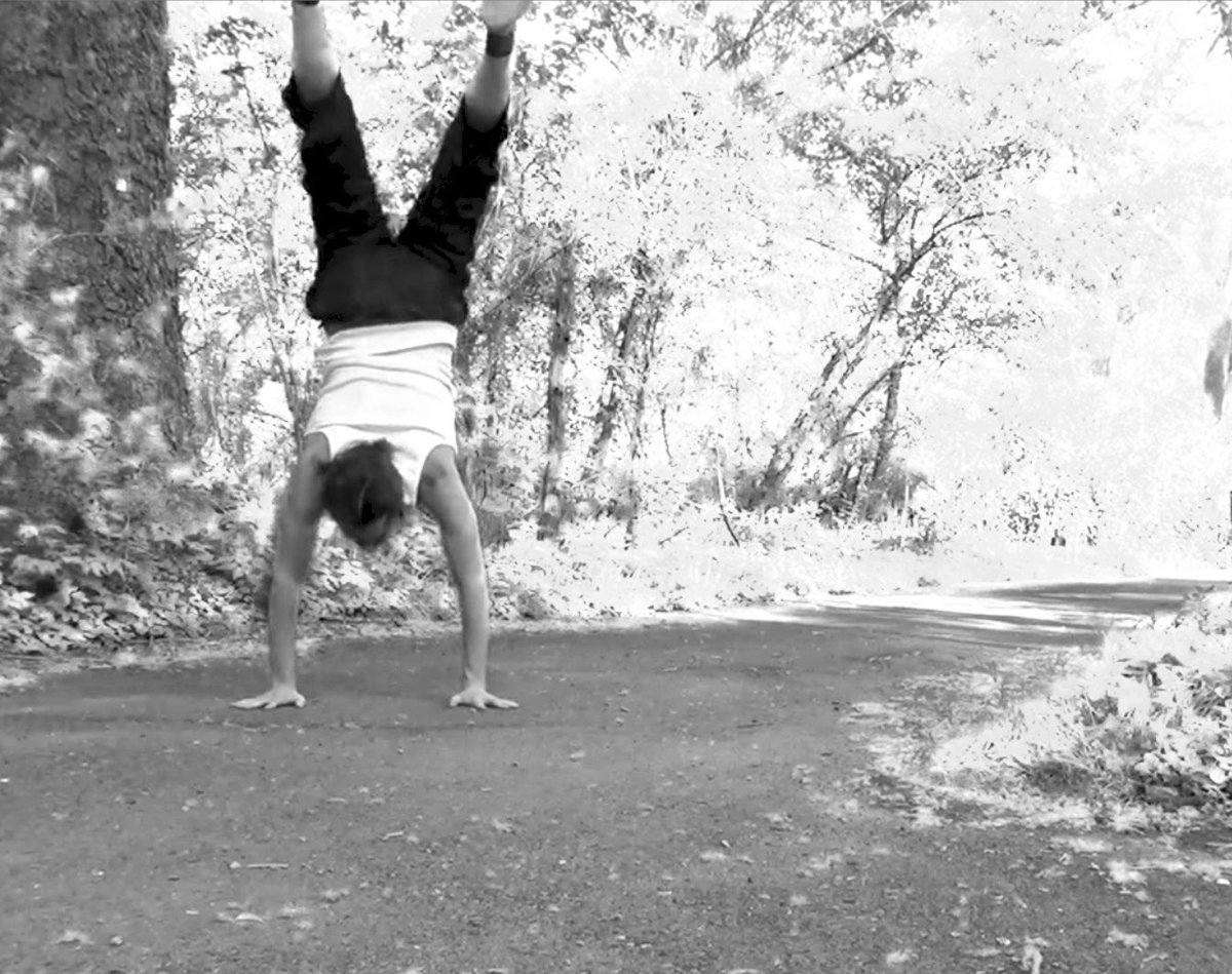 Yaron 🕊️🔥🦋 tweet media