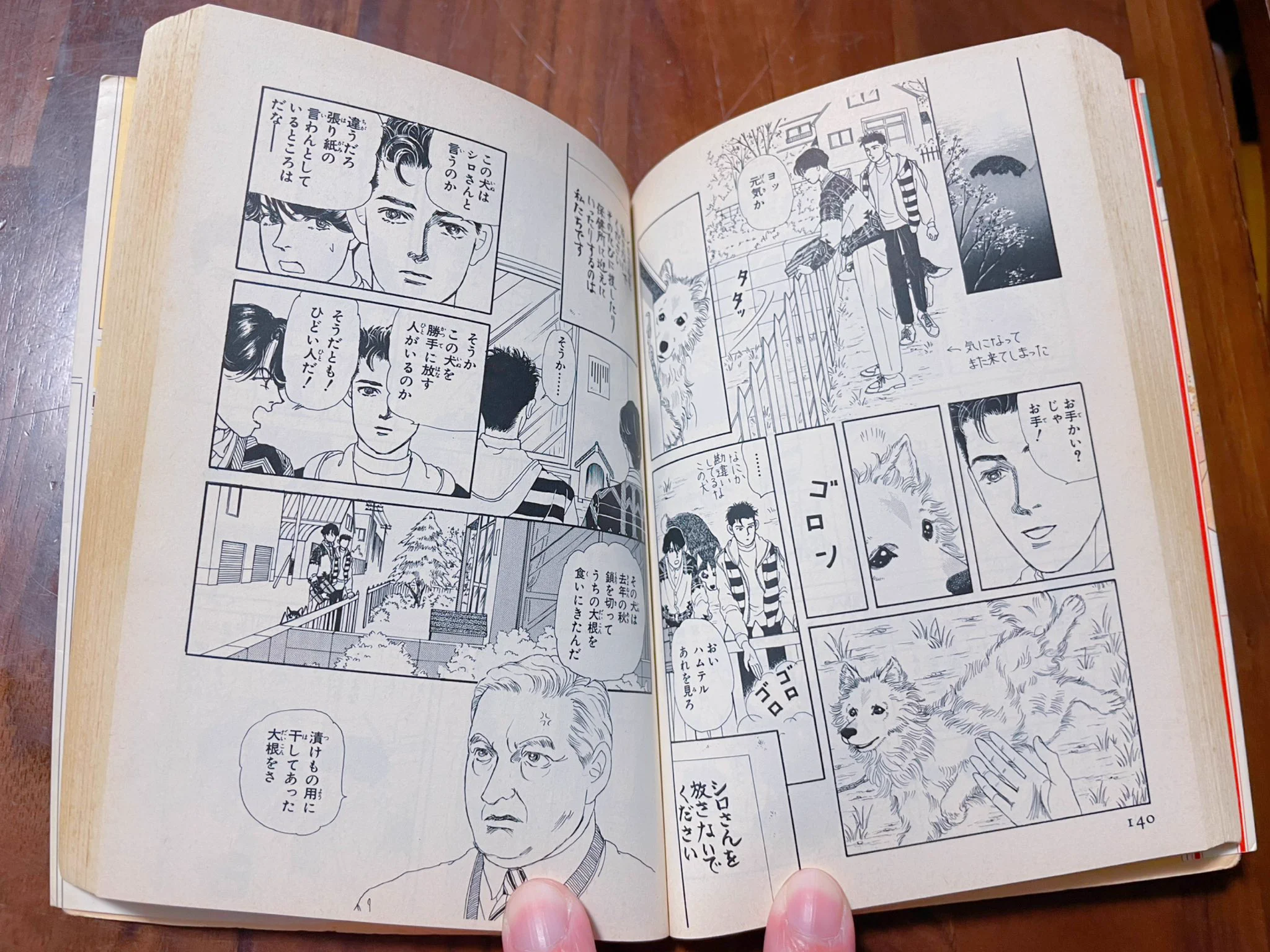 @0rororeo いい話……！！
なのですが、大根が好きな犬というと、『動物のお医者さん』のシロさんを思い出してしまいました笑 