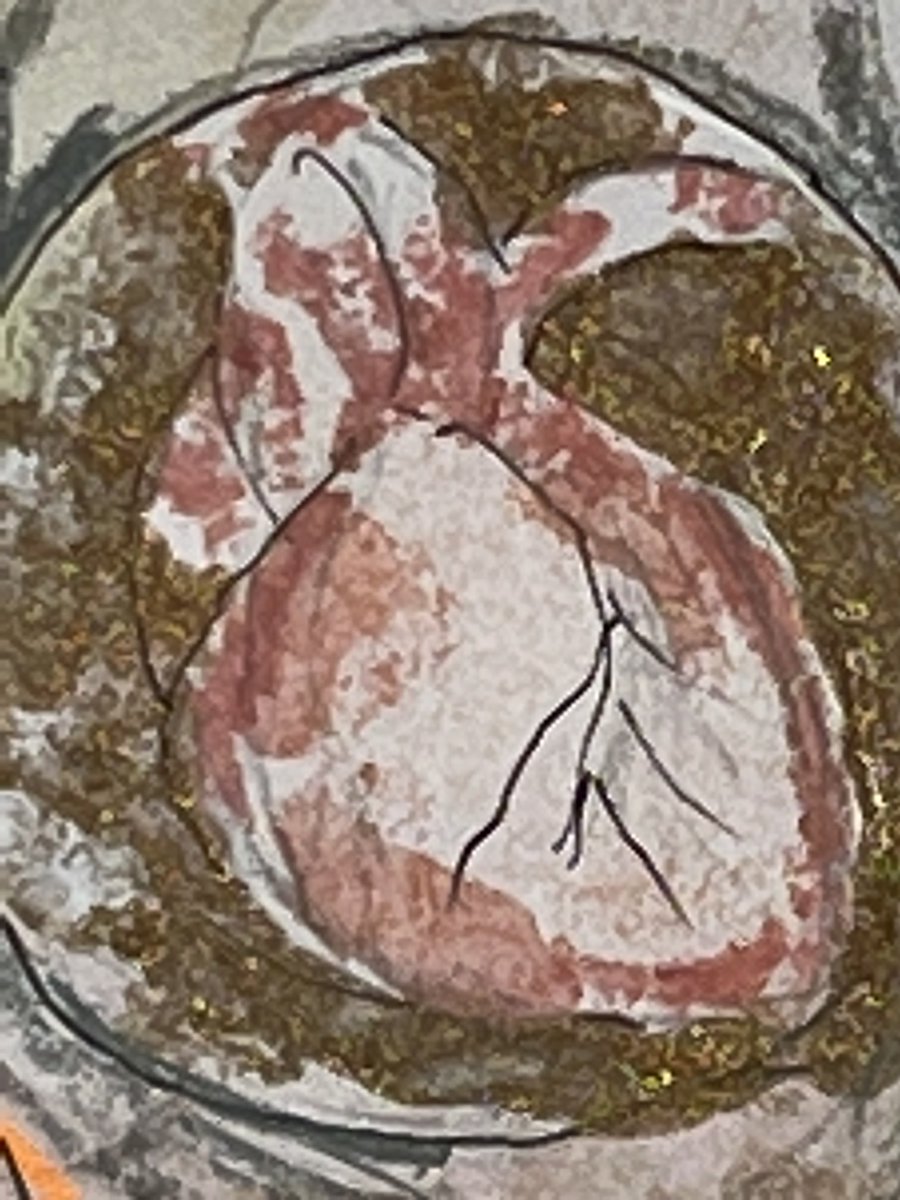 Cornelia tweet media