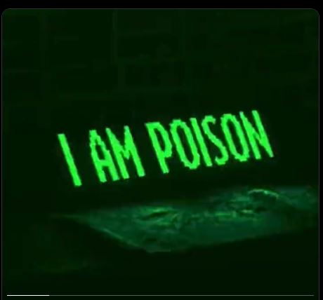 Zunaira_Rafi tweet media