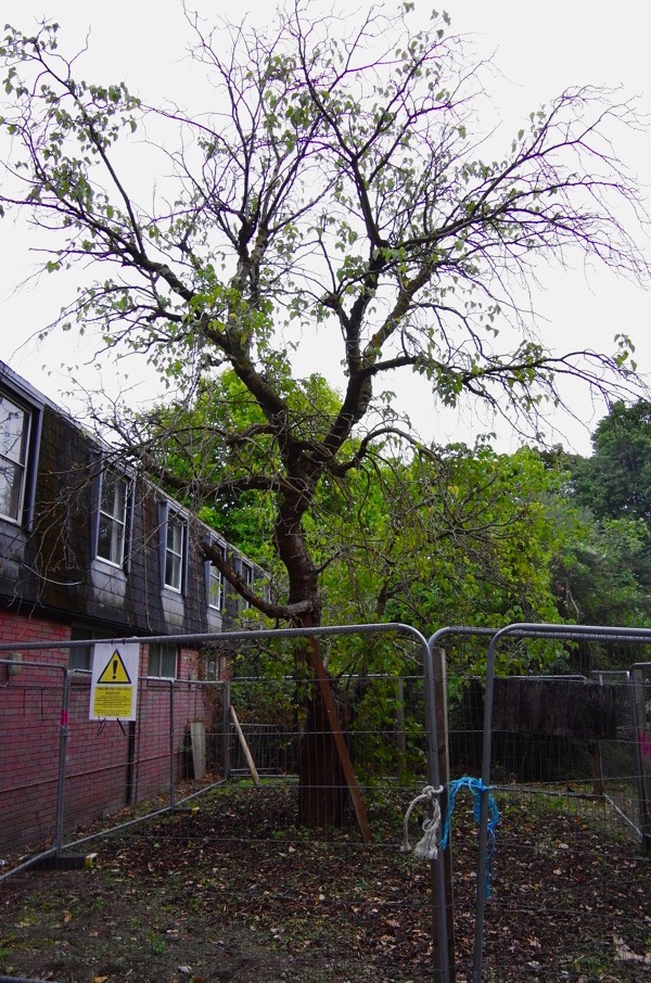 New consultation for the London Chest Hospital development, without touching the Bethnal Green Mulberry!
spitalfieldslife.com/2023/03/15/new…
