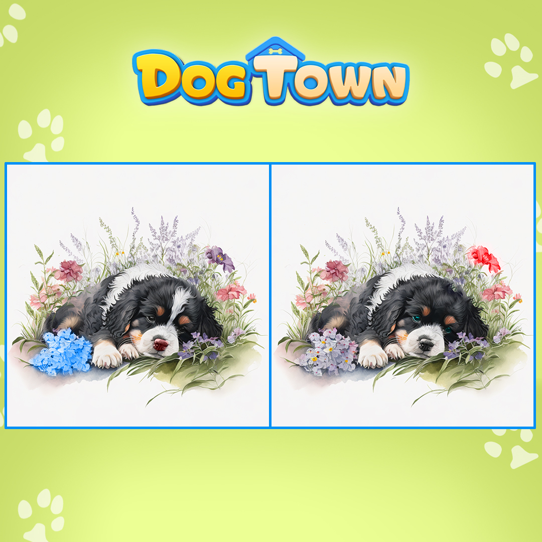 DogTownGame's tweet photo. Look carefully and try to find as many differences as you can in these two images. 🤔 Share your answers below for the BIG chance to win 𝟱𝟬𝟬 𝗱𝗶𝗮𝗺𝗼𝗻𝗱𝘀.💎
#DogTown #DogLovers #DogLove #DogLover #MobileGame https://t.co/OQ385fcnUq