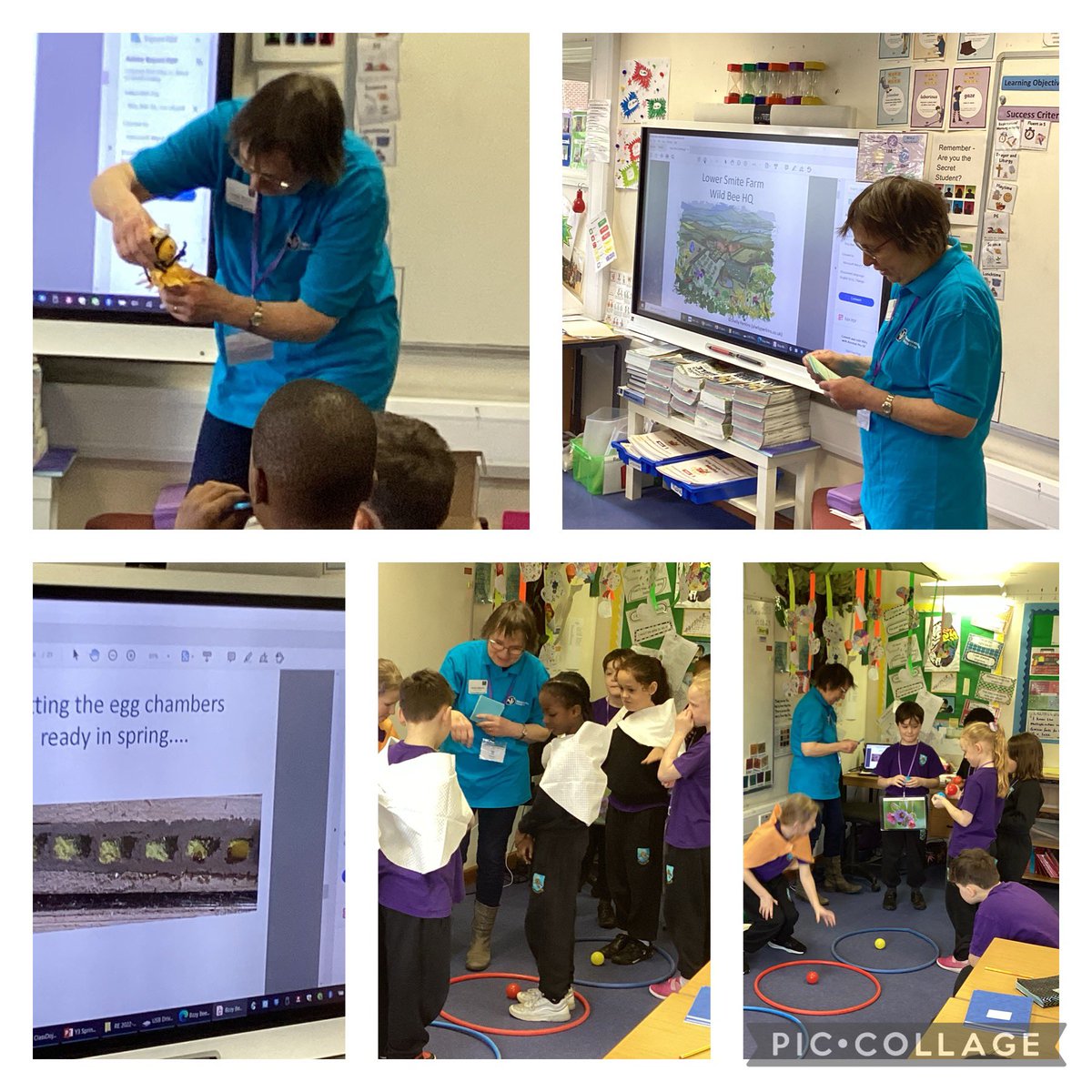 Year 3 learning all about the mason bee and why he is so important. Thank you to Worcestershire Wildlife Trust for a great assembly #olqpscience #BSW23
