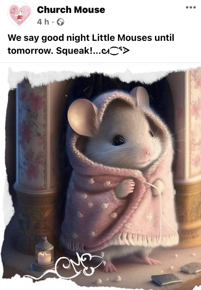 Wrap up warm 😊with a #Churchmouse blanket on ❄️#snowdays