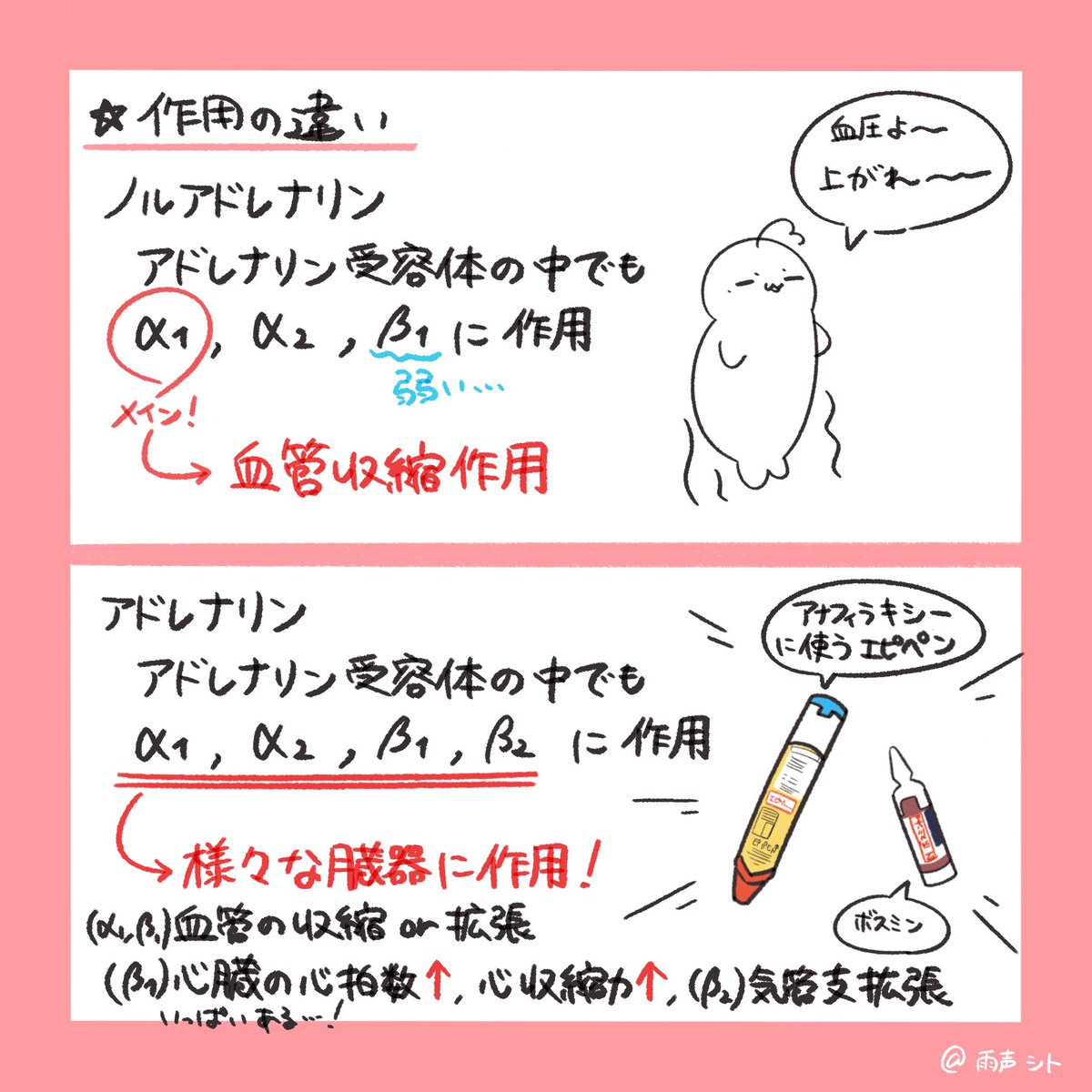 アドレナリンとノルアドレナリンの違いを さっくり図解してみました💊