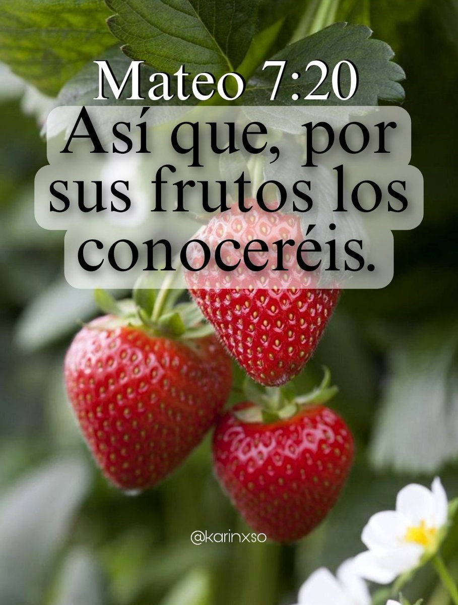 #PalabraDeDios #versiculos #miversiculodiario #biblia #mensajespositivos #parati  #mensajescristianos #pensamientos  #mensajesdeamor #reflexiones #reflexionesdiarias #consejos  #reflexionescristianas #yovoy