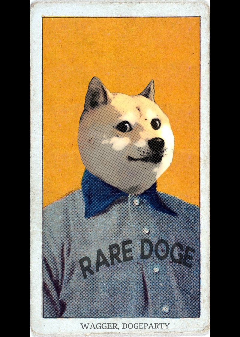 DogepartyXDP tweet picture