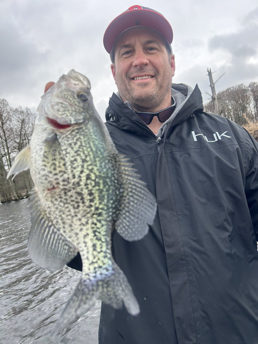 BlueBankResort's tweet photo. Reelfoot Lake Crappie https://t.co/wZJhXzgivg