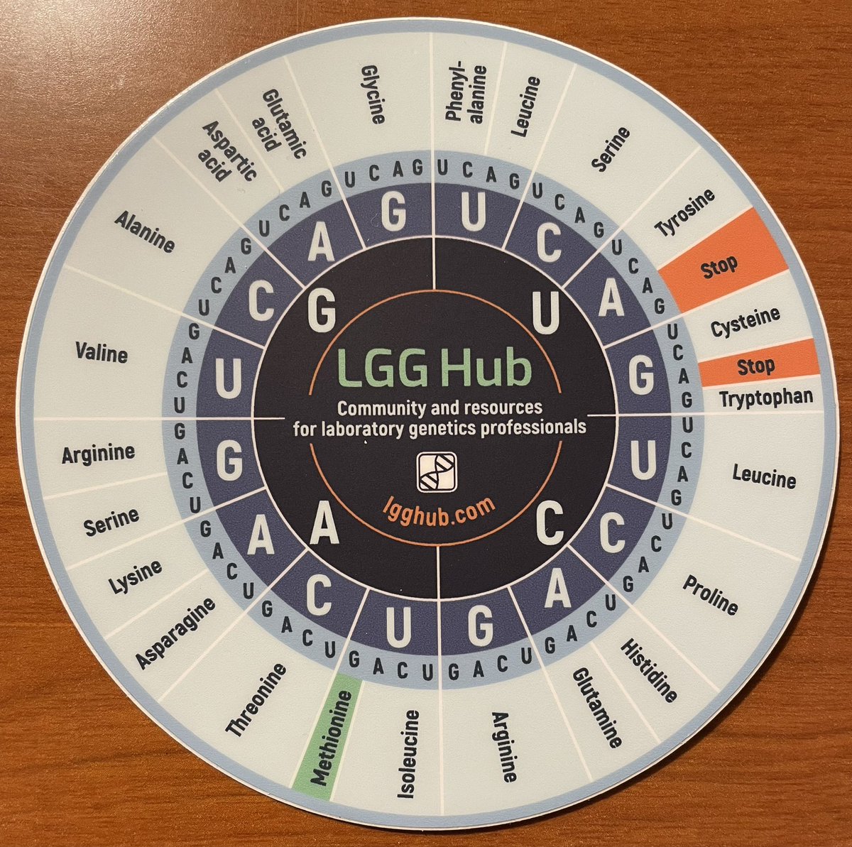 Good morning #ACMGMtg23! For all current LGG fellows and recent graduates taking the boards this August, please consider joining our study group! We already have ~100 people signed up. Sign up: lgghub.com Meet up: Thurs 3/16, 3:00-3:45pm, by rm 151E #GeneChat