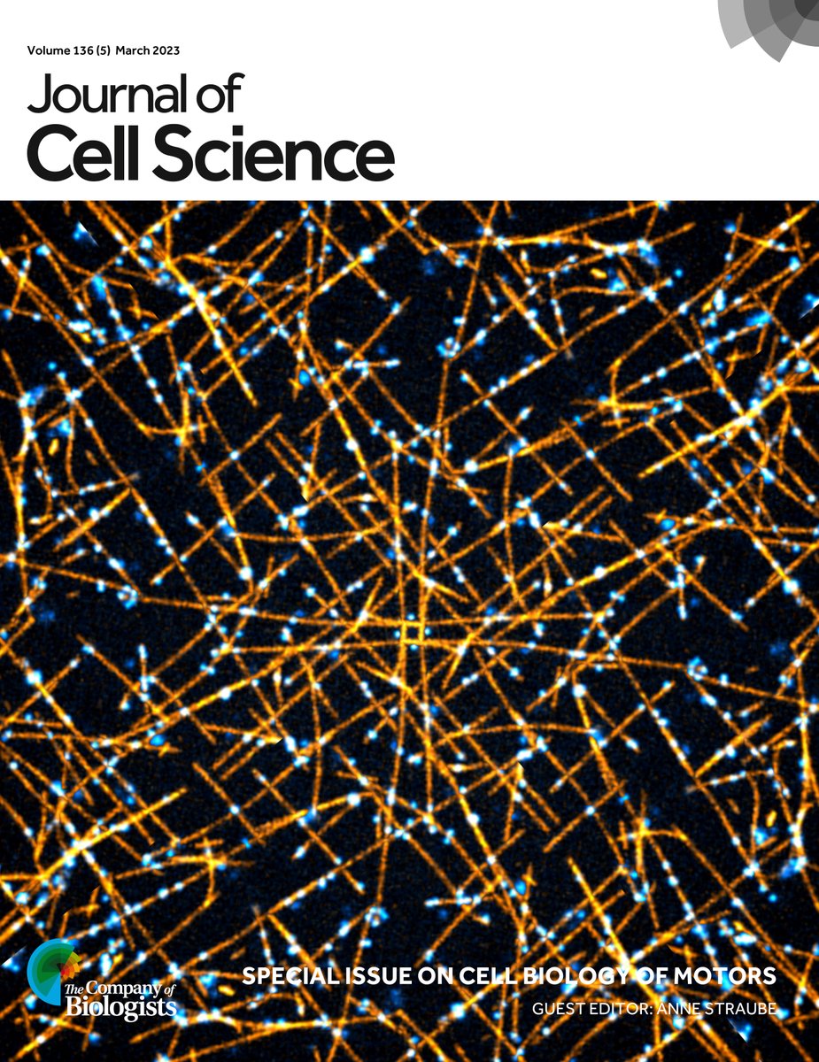J Cell Science (@j_cell_sci) on Twitter photo Our Special Issue: Cell Biology of Motors, guest edited by <a href="/AnneStraube/">Anne Straube (annestraube.bsky.social)</a> <a href="/Warwick_CMCB/">mechanochemistry</a>, is now complete!
Check out the full Table of contents and Anne’s Editorial here:
journals.biologists.com/jcs/issue/136/5
journals.biologists.com/jcs/article/13…
#JCSCellBiologyofMotors Our Special Issue: Cell Biology of Motors, guest edited by <a href="/AnneStraube/">Anne Straube (annestraube.bsky.social)</a> <a href="/Warwick_CMCB/">mechanochemistry</a>, is now complete!
Check out the full Table of contents and Anne’s Editorial here:
journals.biologists.com/jcs/issue/136/5
journals.biologists.com/jcs/article/13…
#JCSCellBiologyofMotors