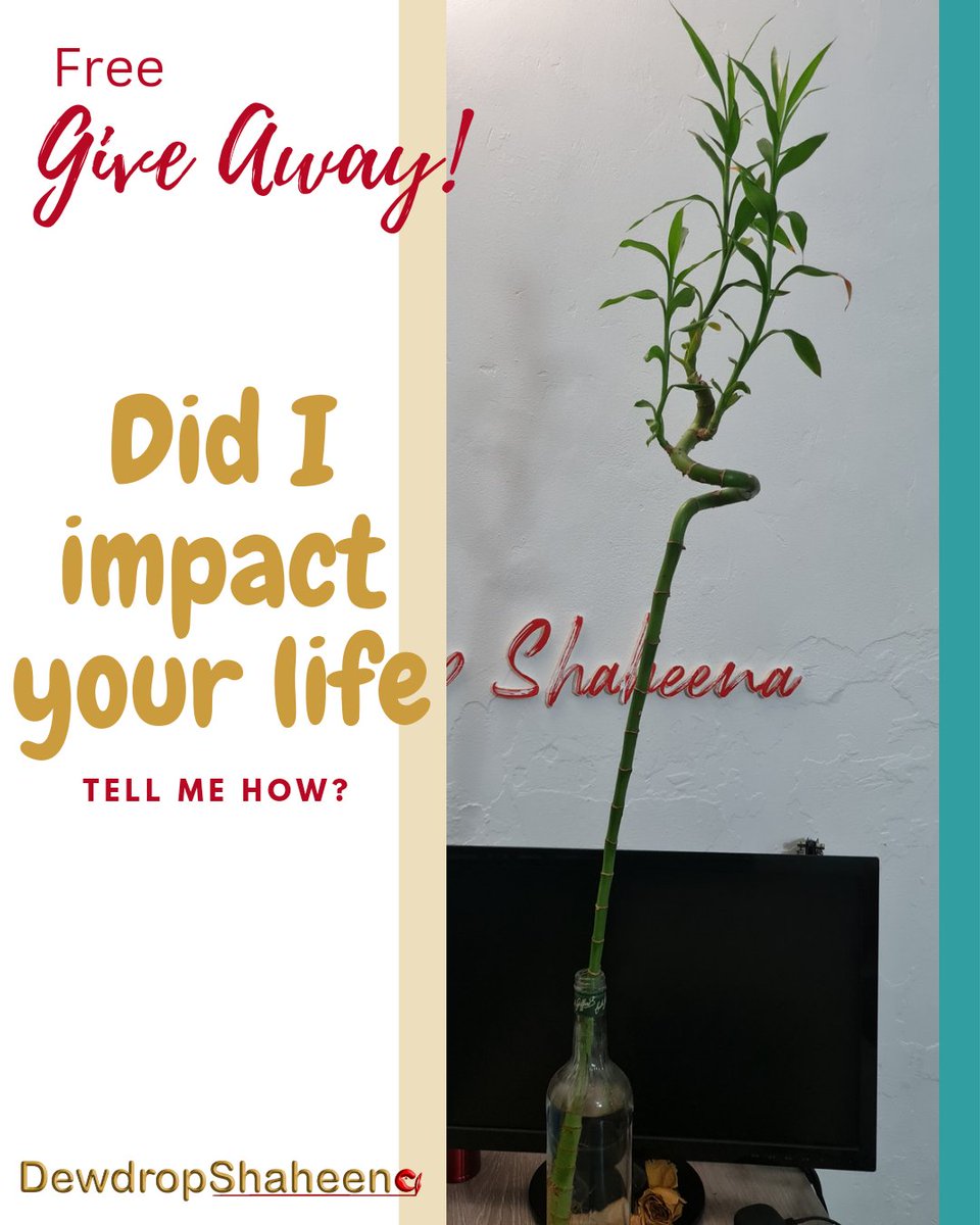 Have you ever listened to a live video of mine? Did it help you? What impact did it create in your life? 

#dewdropshaheena