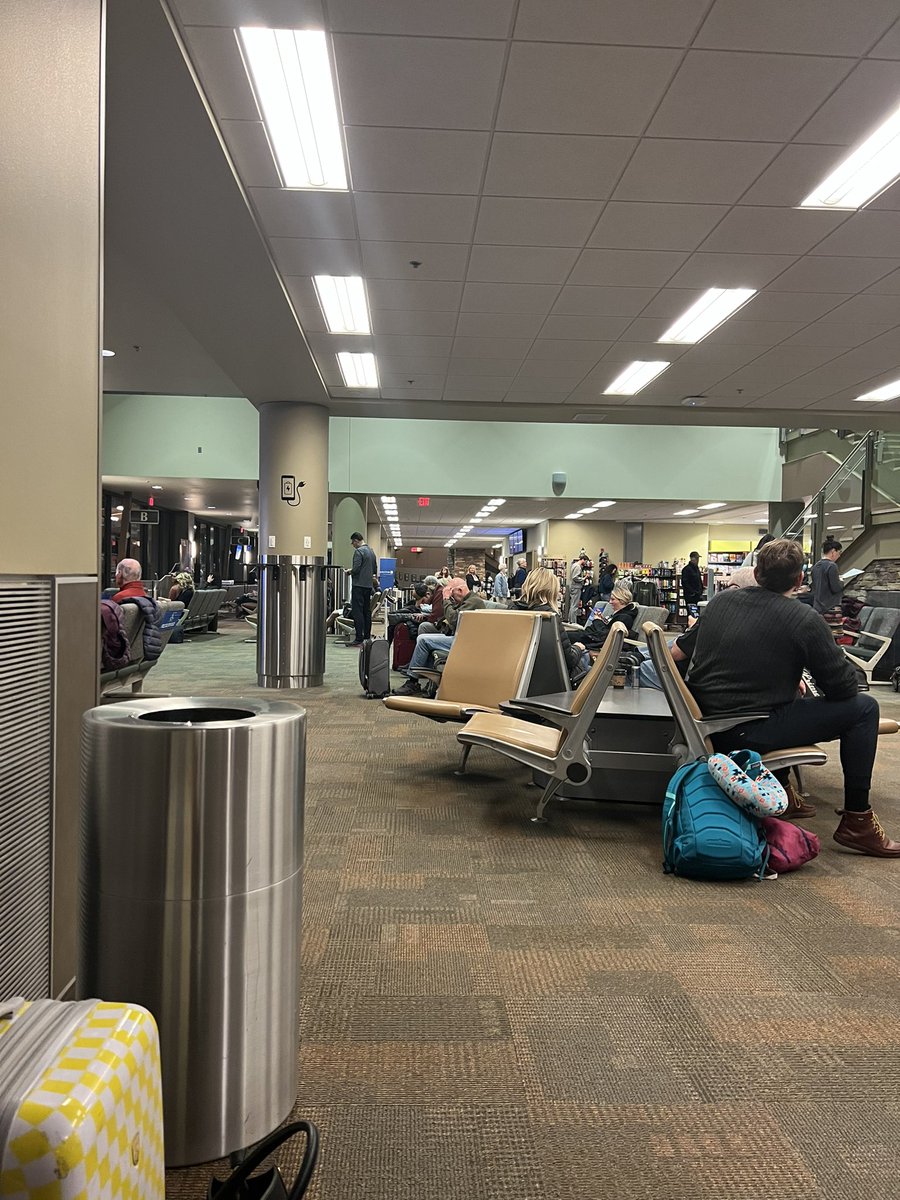 DSEdwardsAuthor's tweet photo. Found a secluded spot in the corral. Now we wait until they start loading the flying cattle car. Moo. . . . . https://t.co/1cDaMyxPs3