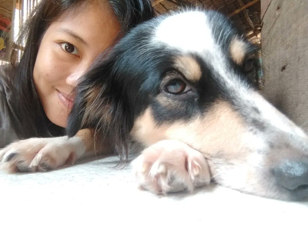 _monavince's tweet photo. Happy Birthday Daisypot! ❤️

Wala munang handa at busy ang nanay mo. Mag ulam na lang tayo ng manok mamaya. 😁

#TatlongTaon https://t.co/I3y0RMSCeB