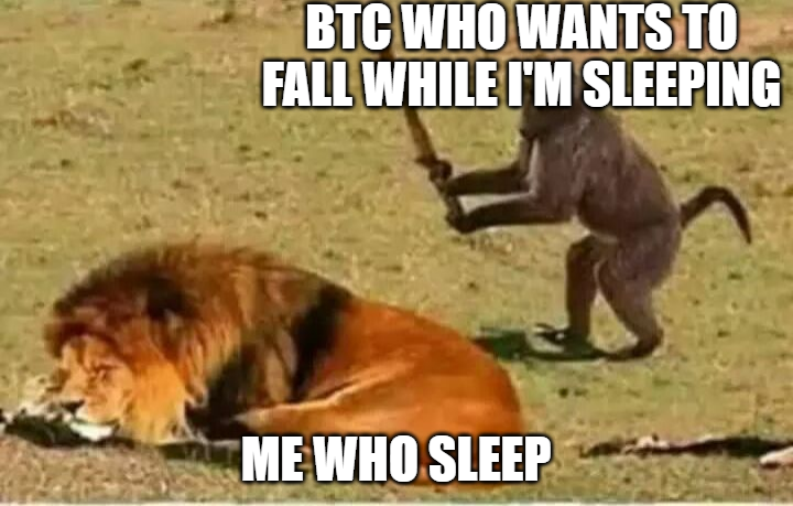 skywizard111's tweet photo. morning meme for @TaprootWizards 
have a good day guys! <3 https://t.co/IspEPyzDQF