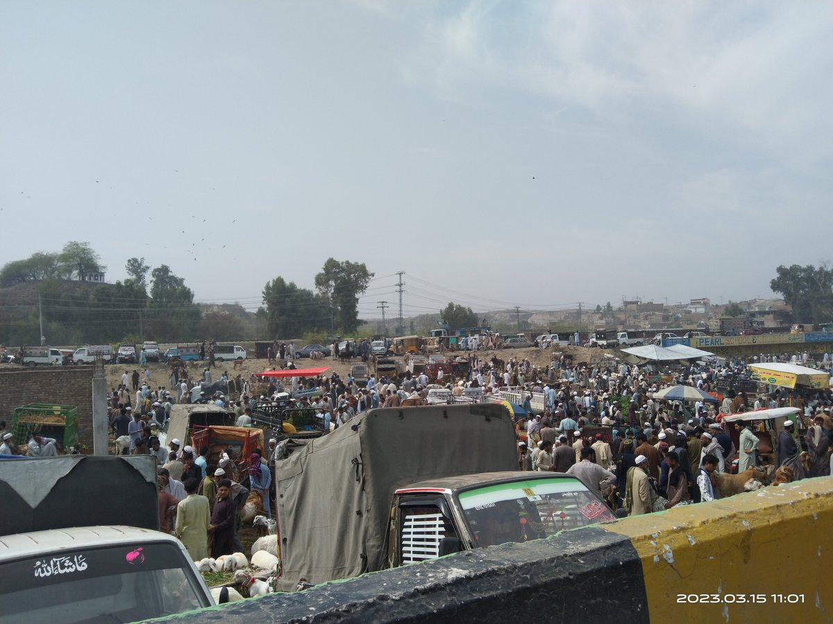 اففف نوشہرہ منڈی میں توبابے ہی بابے ادھر سے ٹچ ادھر سے ٹچ اب تو ہر بدھ کو یہاں آؤں گا۔