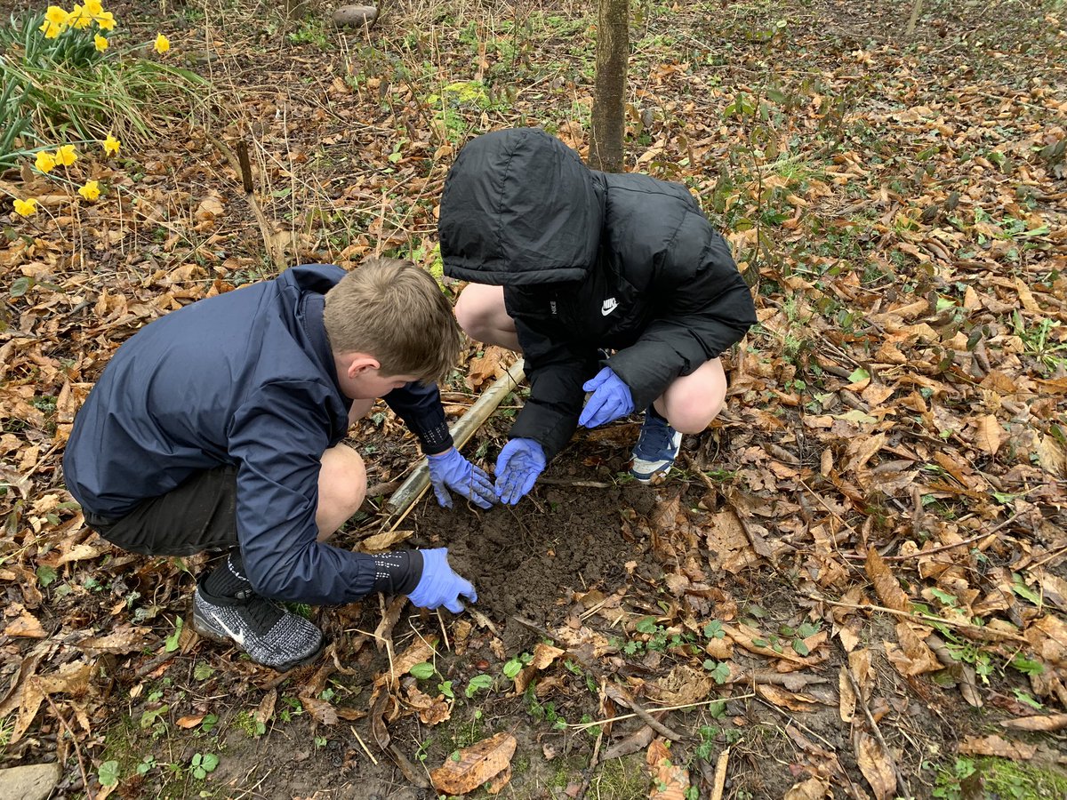 DTBedwasHigh's tweet photo. Some more tree planting by year 7 & 8 Agored. Ensuring the future is a green. #environment #ESDGC #Agored https://t.co/LPUzs4M9Kc
