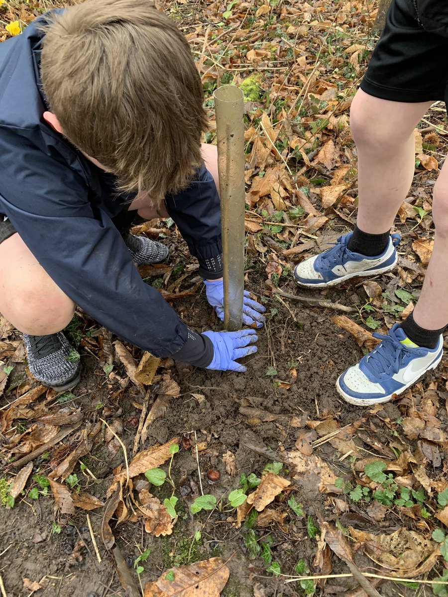 DTBedwasHigh's tweet photo. Some more tree planting by year 7 & 8 Agored. Ensuring the future is a green. #environment #ESDGC #Agored https://t.co/LPUzs4M9Kc