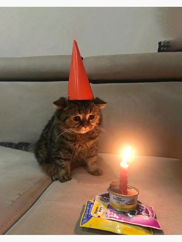 michelledamnit's tweet photo. i’m 24 today https://t.co/8ik6O98Qlk