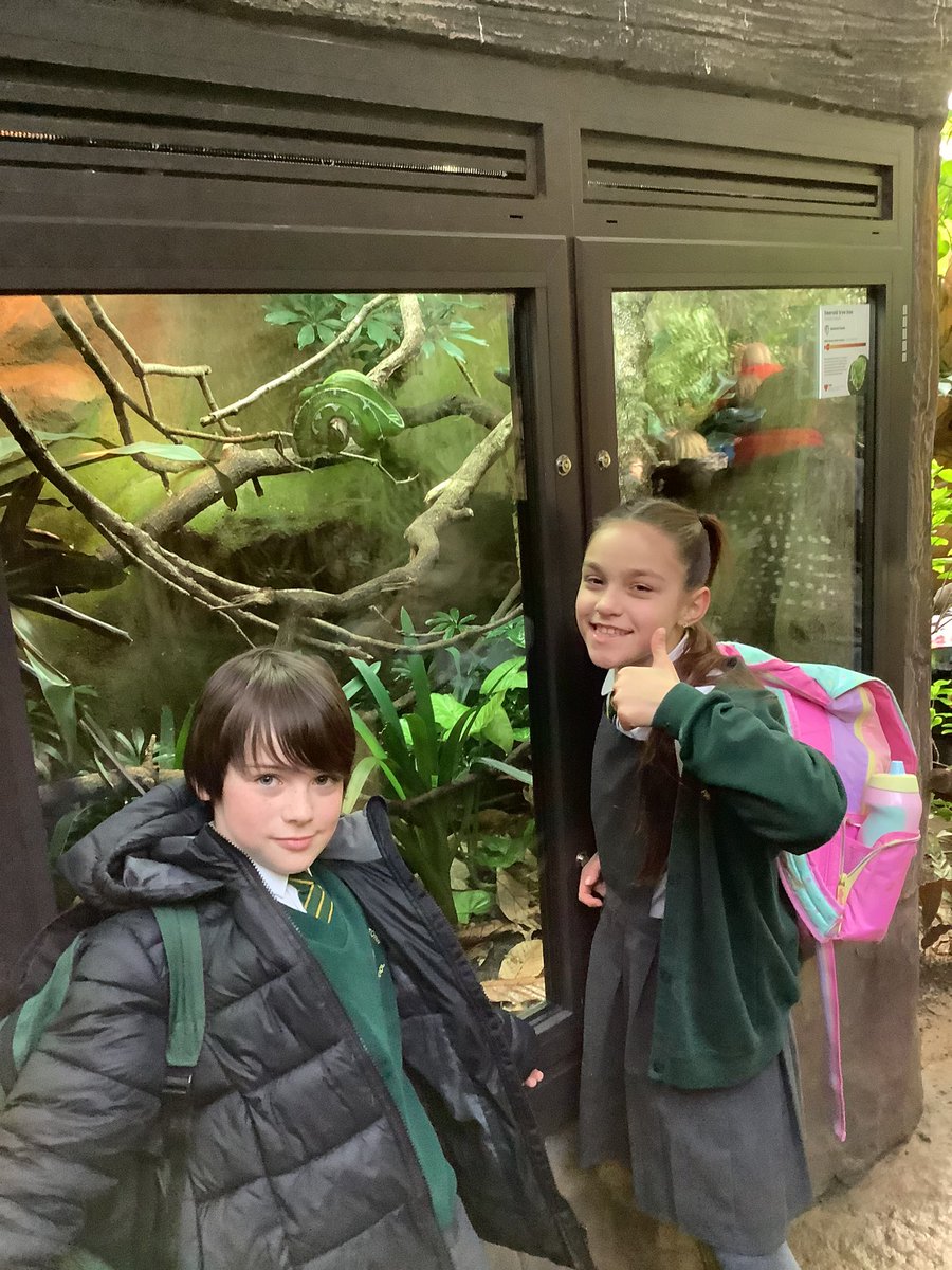 NorthTown4PC's tweet photo. @NorthTown3EF @PaigntonZoo @PaigntonZoo thank you for our amazing visit - we loved spotting and learning about the different animals! 🦒🐒🐆🦎 https://t.co/FeDCeLOOpX