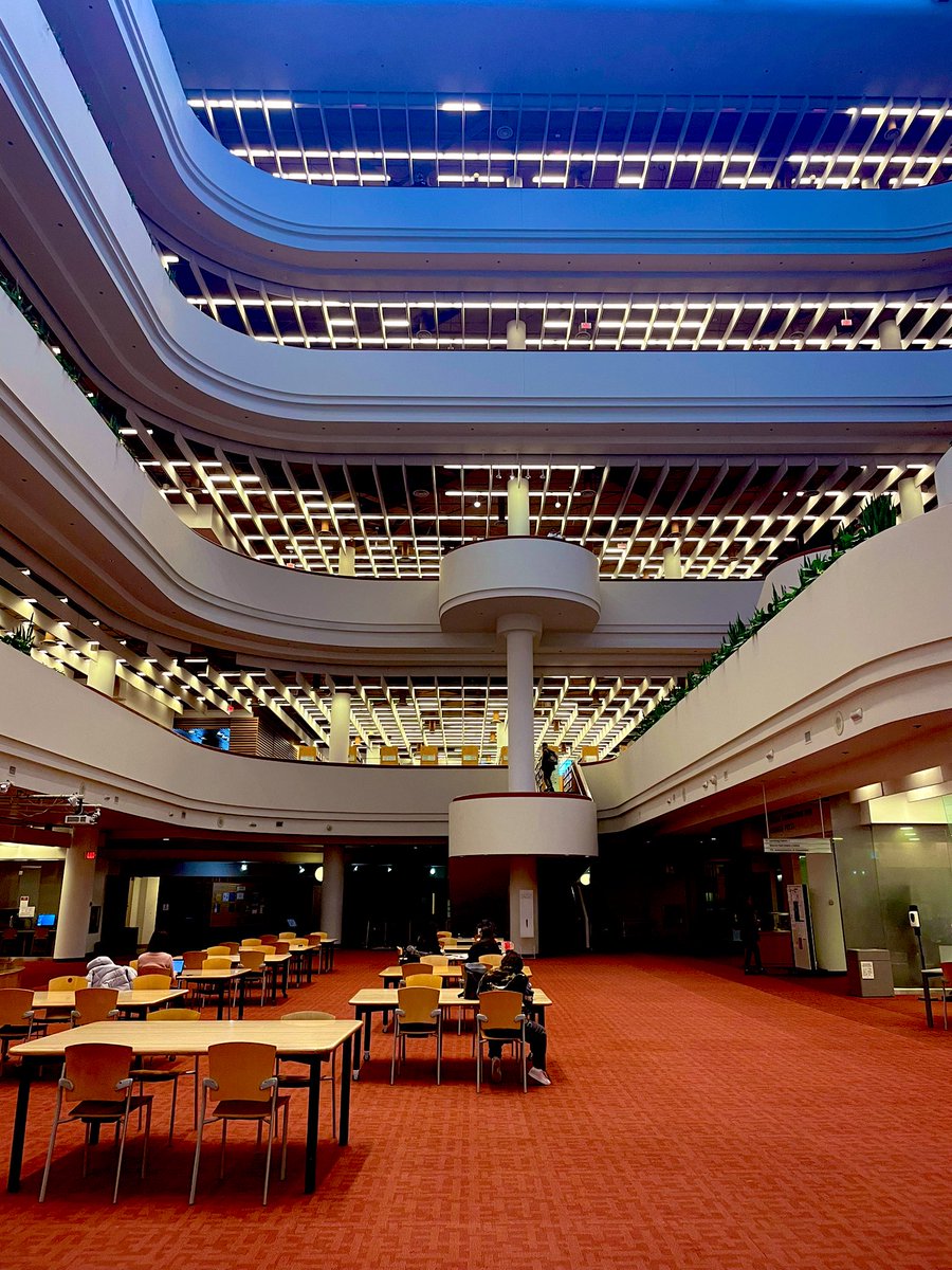 She Does The City tweet media