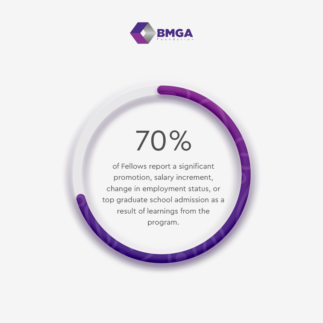 BMGA Fellows Program (@bmgafellows) / Twitter