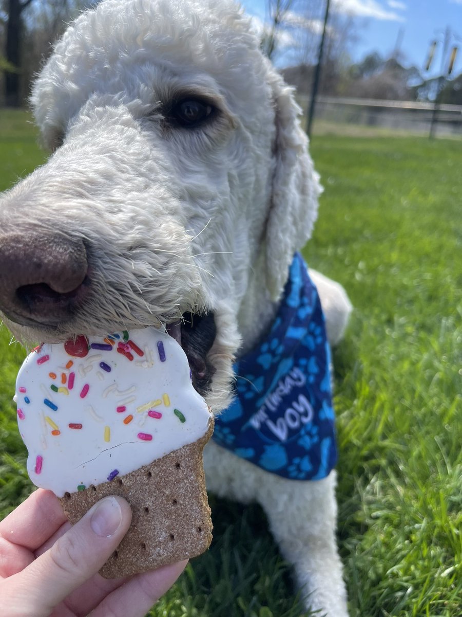 annanicole365's tweet photo. Birthday Boy part 4 💙 https://t.co/9D6B8aNGM5
