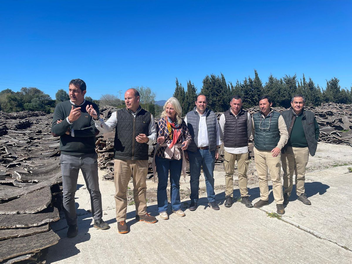 🌳El Viceconsejero de @MedioAmbAND, Sergio Arjona; @MercedesColomb1, @OscarCurtidoN, @javierros745 y el Director General de Espacios Naturales Protegidos, José Enrique Borrallo, han visitado el Parque Natural de #LosAlcornocales, desde 'El Chapatal' a Majarambú y Alcaidesa.