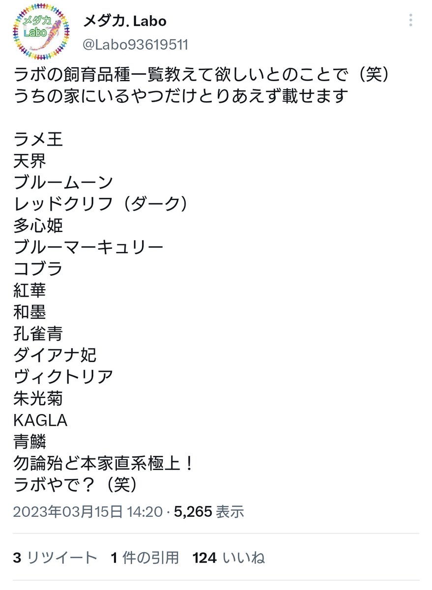 うちの飼育品種(о´∀`о)
ミナミメダカ
青メダカ
楊貴妃
紅帝
幹之
赤富士
夜桜
夜桜ゴールド
深海
鱗光
魔界サファイア
亜里砂ファイア
グリーンティアラ
モルフォ
ブルースターダスト
王華
月華
月神
月弓
オロチダルマ
神ちゃん
オーロラ黄ラメ✕サファイア
黒蜂ヒレ長✕ブラックダイヤ
つづく