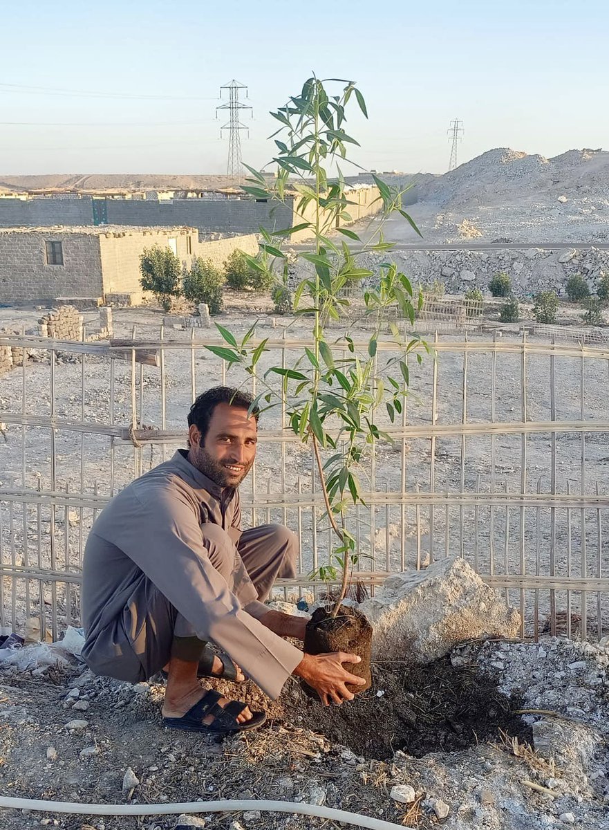 MedusaWorld_DAO's tweet photo. 📣 —— 🌏 NGO UPDATE
This is the reason why Medusa World DAO was born over a year ago ⬇️
Planet Hero Partner Fly High & Never Land was supported by MW to empower local actions in Egypt, including planting trees 🌳🌳🌳
Stay tuned — video coming soon 🎥
#Donaction
#PlantTrees https://t.co/8usrIs7wZn