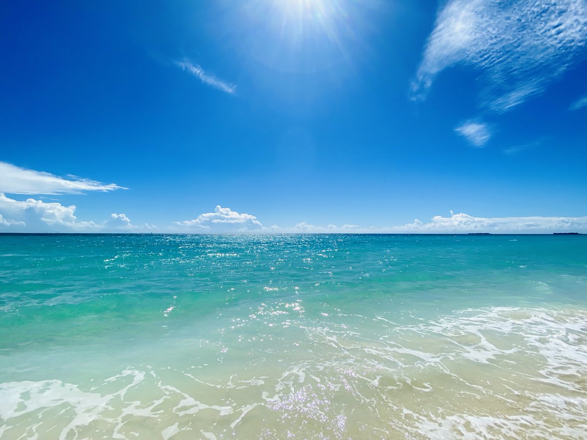 OdysseyBahamas's tweet photo. Calling all #pilots! Check out special offers for #PrivatePilots from #Bahamas @OutIslands Promotion Board!
#Fly Almost Fee Free! & #IslandHopping Fuel Credit! ππ©ππ§πΈ
For more #BOIPB specials offers go to https://t.co/6itTm87Mo8
#pilotlife #SpringBreak #pilotlife #flyfishing https://t.co/gdkvJFURtl