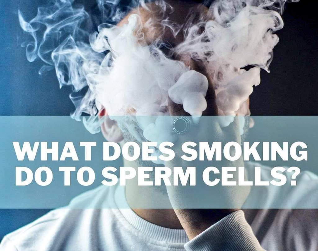 Male #smokers can suffer decreased sperm quality with lower counts (numbers of sperm) and motility (sperm's ability to move) and increased numbers of abnormally shaped sperm. Smoking might also decrease the sperm's ability to fertilize eggs. #smoking #malefertility