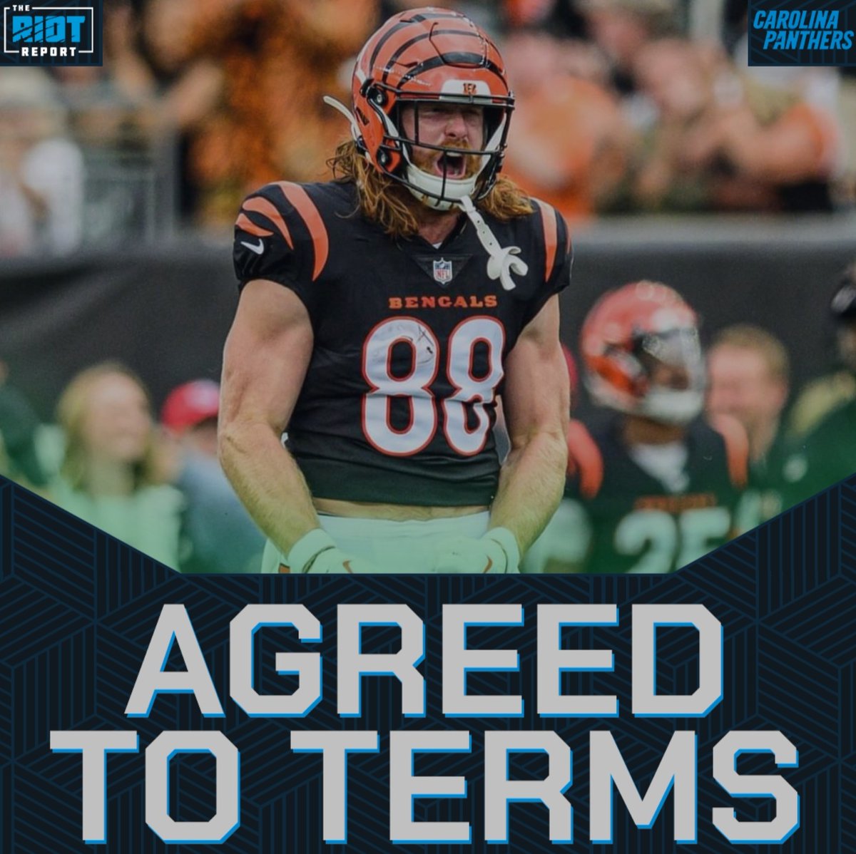 RRiotReport's tweet photo. The #Panthers are expected to sign former #Bengals TE Hayden Hurst.

The former SC Gamecock is back in Carolina!

ℹ️:@RapSheet https://t.co/a5LwzgCc2j